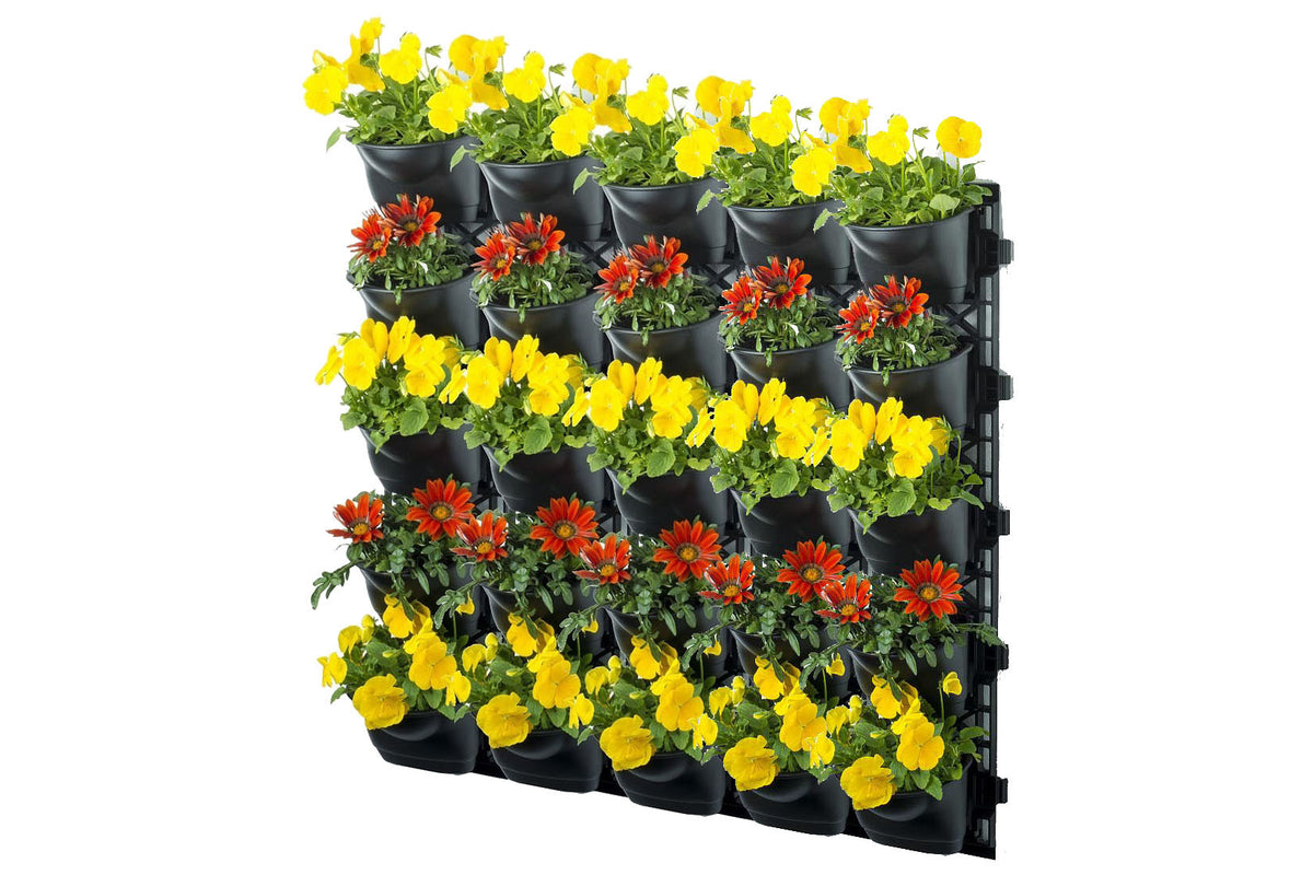 Maze Vertical Garden Wall Growing Kit - Black (25 Pots)