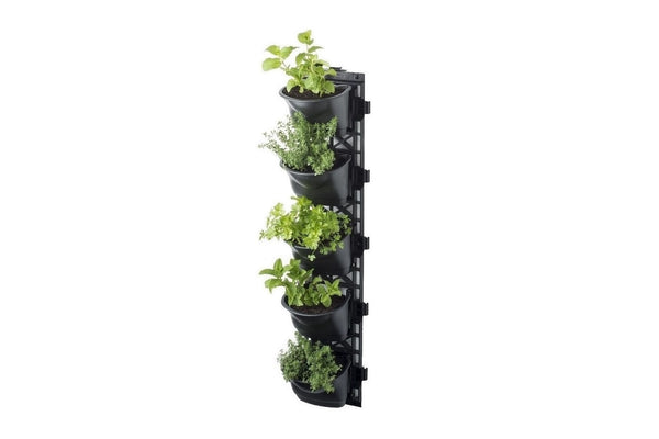 Maze Vertical Garden Wall Growing Kit - Black (5 Pots)