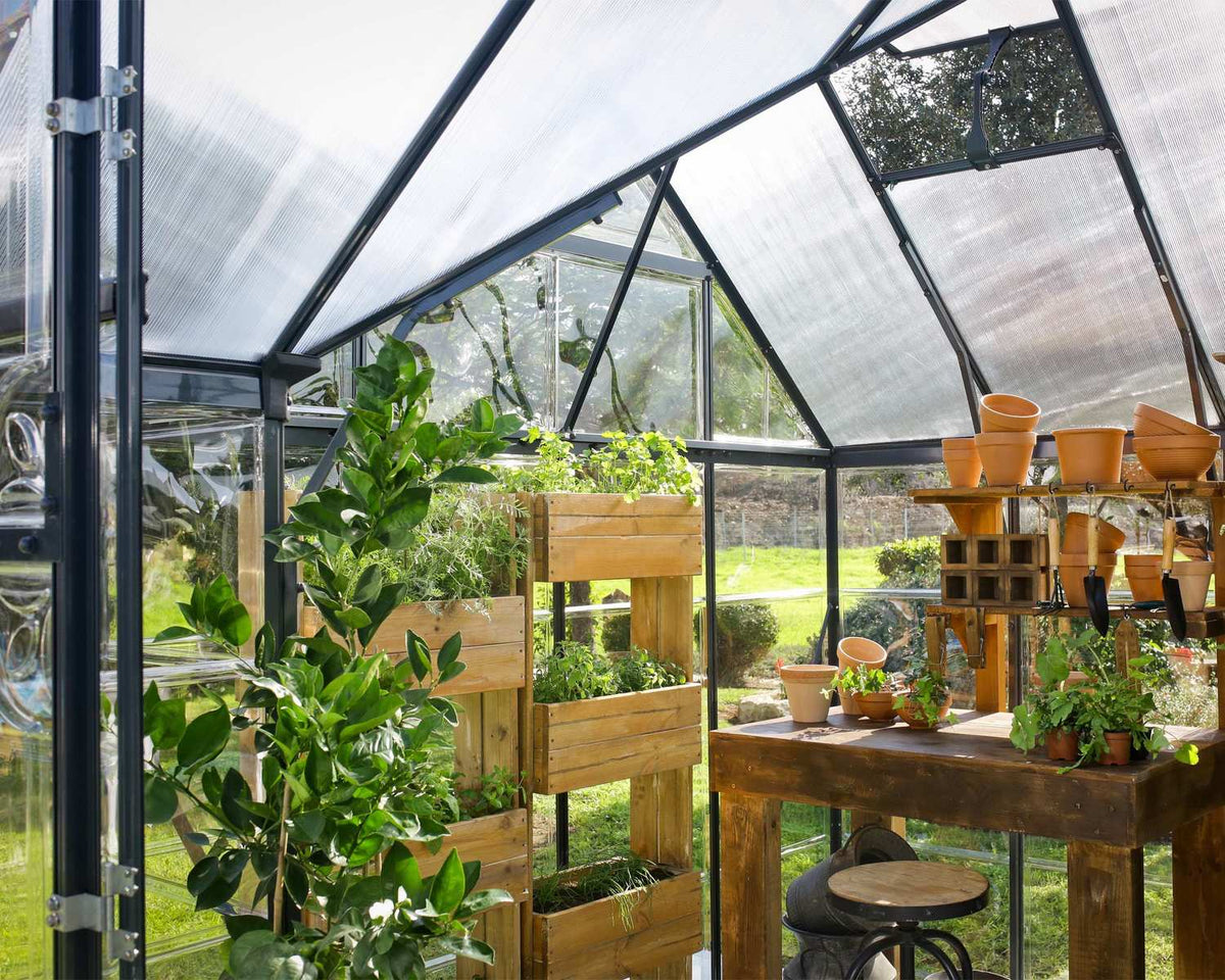 Maze Victory Premium Polycarbonate Greenhouse Grey (3.7m x 3.1m)