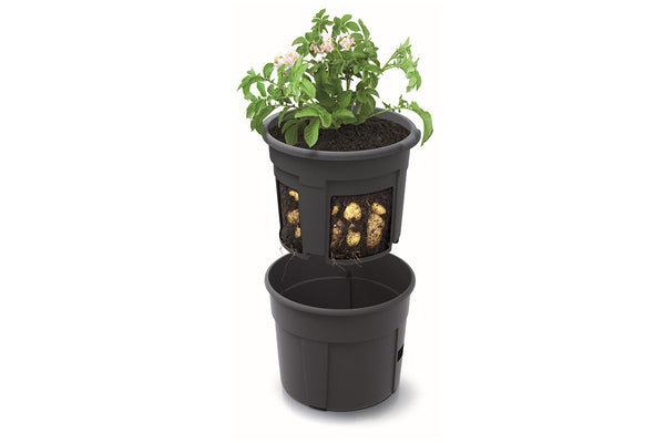 Maze Recycled Plastic Potato Growing Planter Pot 300mm - Anthracite