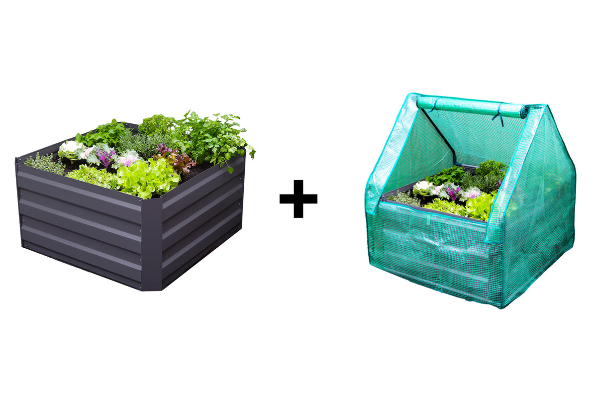 Greenlife Square Garden Bed 450H Charcoal + Drop Over PE Greenhouse 900 x 900 x 1020