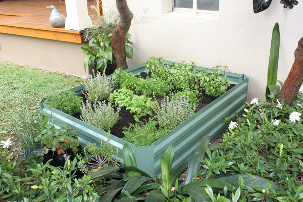 Greenlife Raised Garden Bed - 1200 x 900 x 300mm - Eucalypt Green