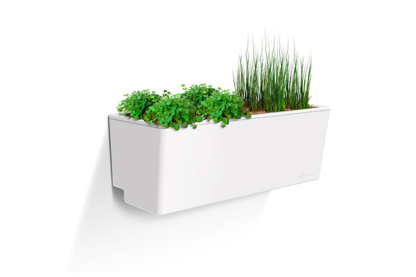 Glowpear Mini Wall Planter - Self Watering Vertical Garden Planter Box