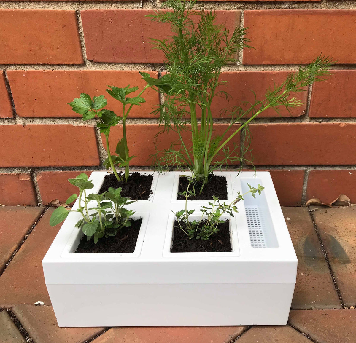 Greenlife Self-watering Bench Top Herb Growing Planter with 4 Pots