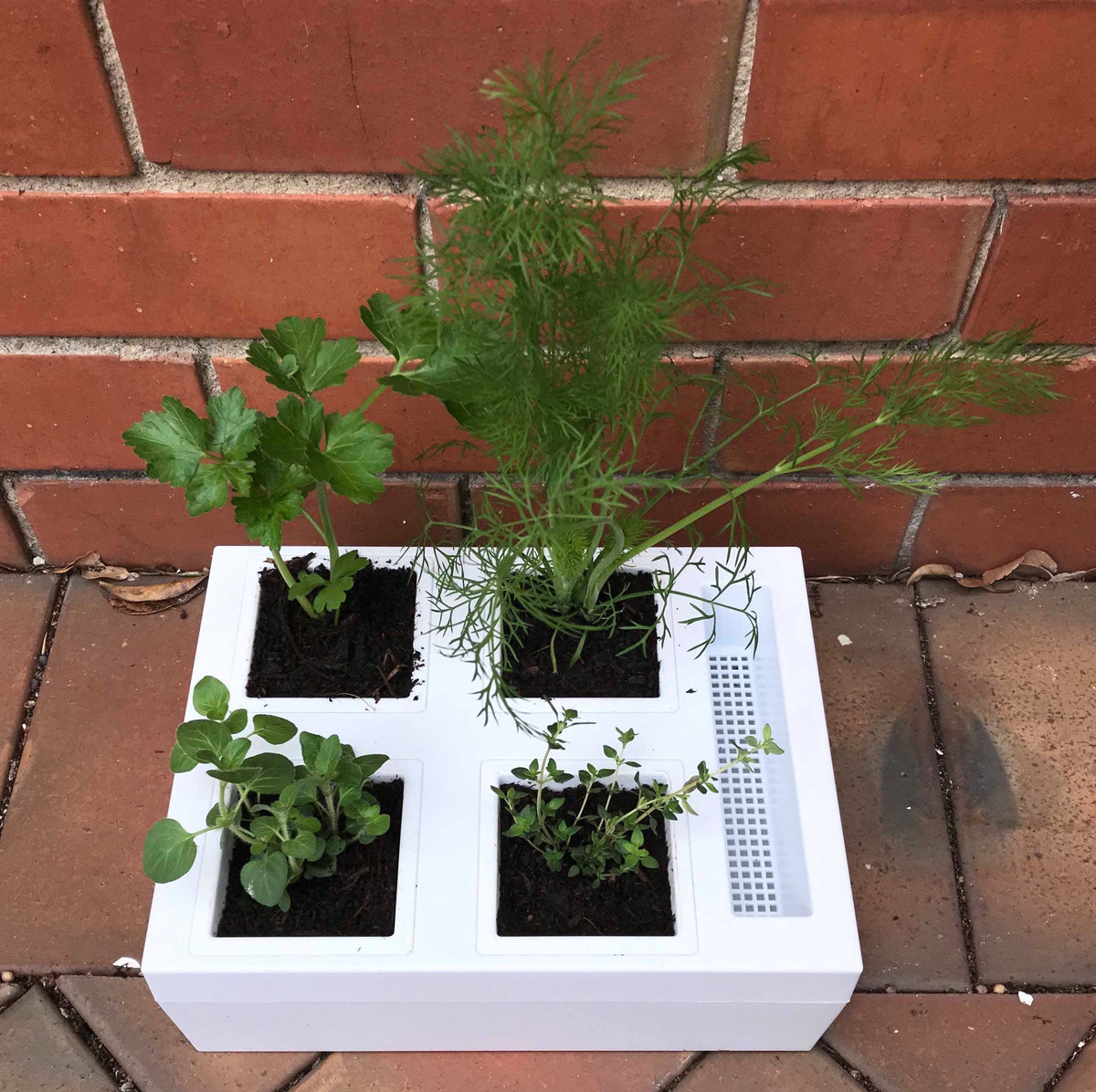 Greenlife Self-watering Bench Top Herb Growing Planter with 4 Pots