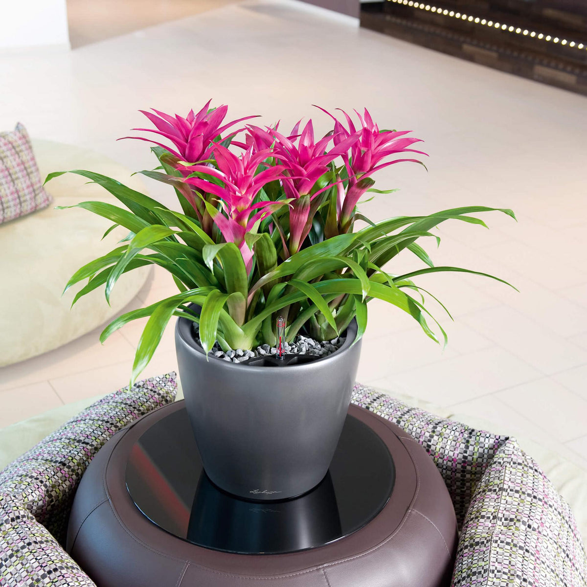 Lechuza CLASSICO LS 35 PREMIUM Self-Watering Pot