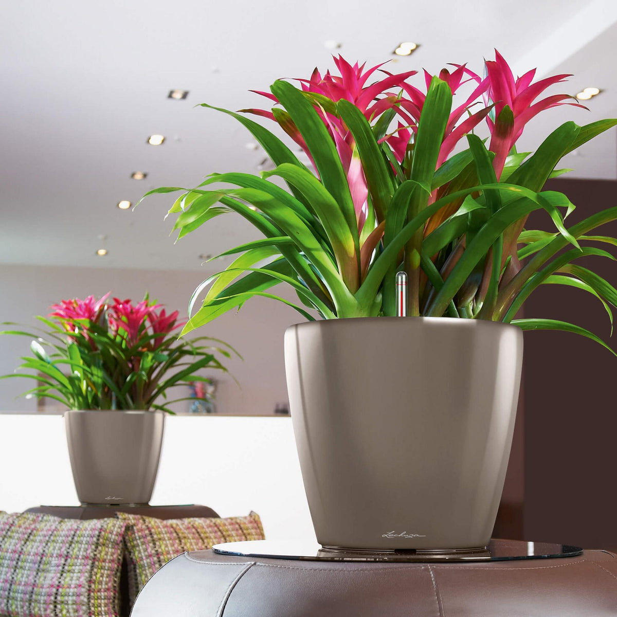 Lechuza CLASSICO LS 35 PREMIUM Self-Watering Pot
