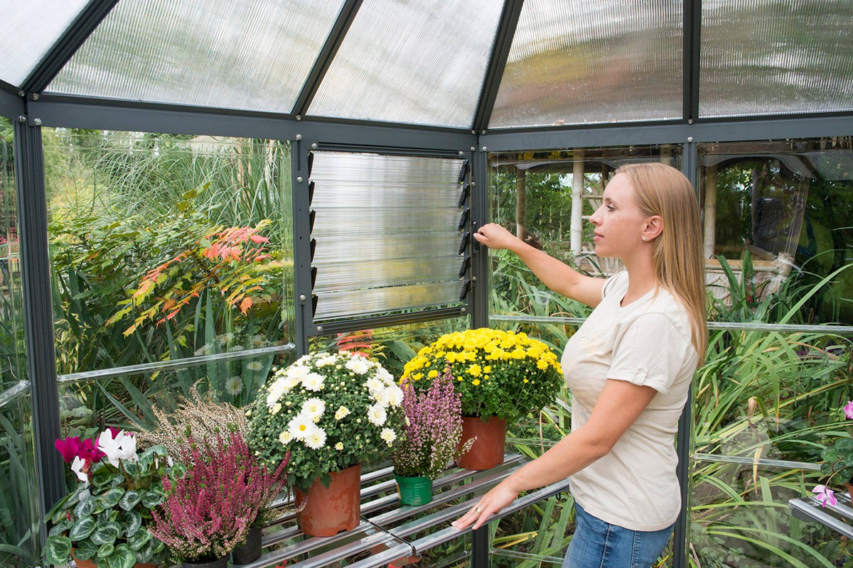 Maze Oasis Hex Polycarbonate Greenhouse 8' Grey (2.5m x 2.2m)