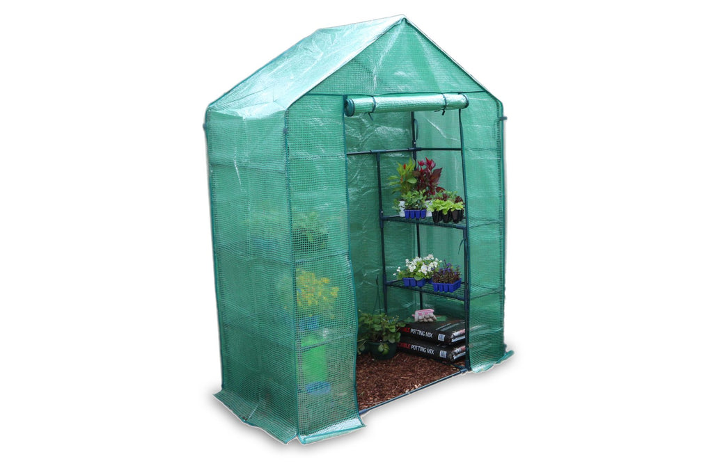 PE Cover Walk-in Greenhouses