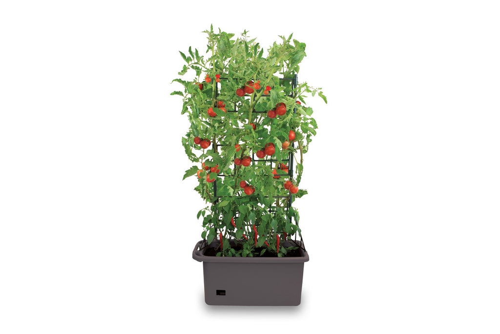 Self-Watering Pots and Planters