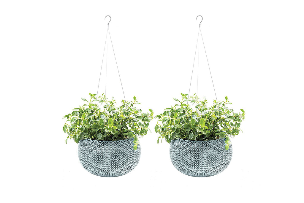 Hanging Baskets