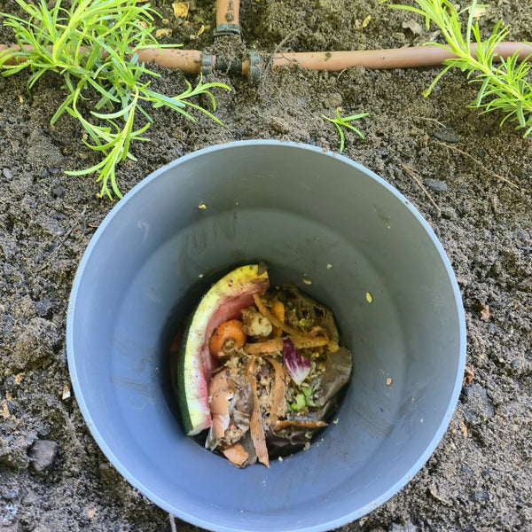 Maze 10L Standard In Ground Composter and Worm Farm