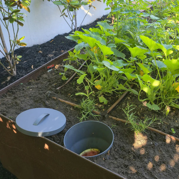 Maze 10L Standard In Ground Composter and Worm Farm