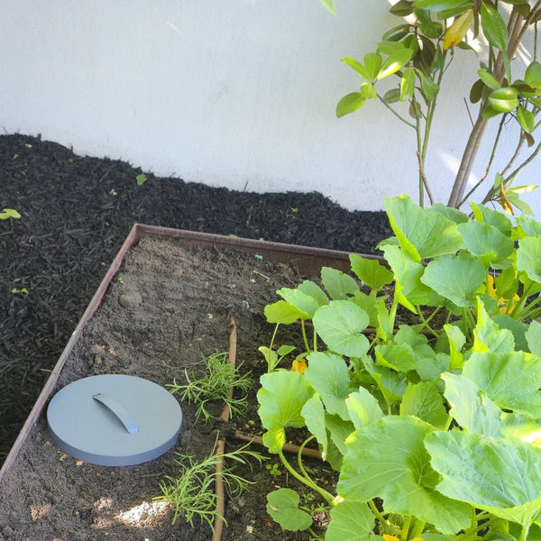 Maze 10L Standard In Ground Composter and Worm Farm