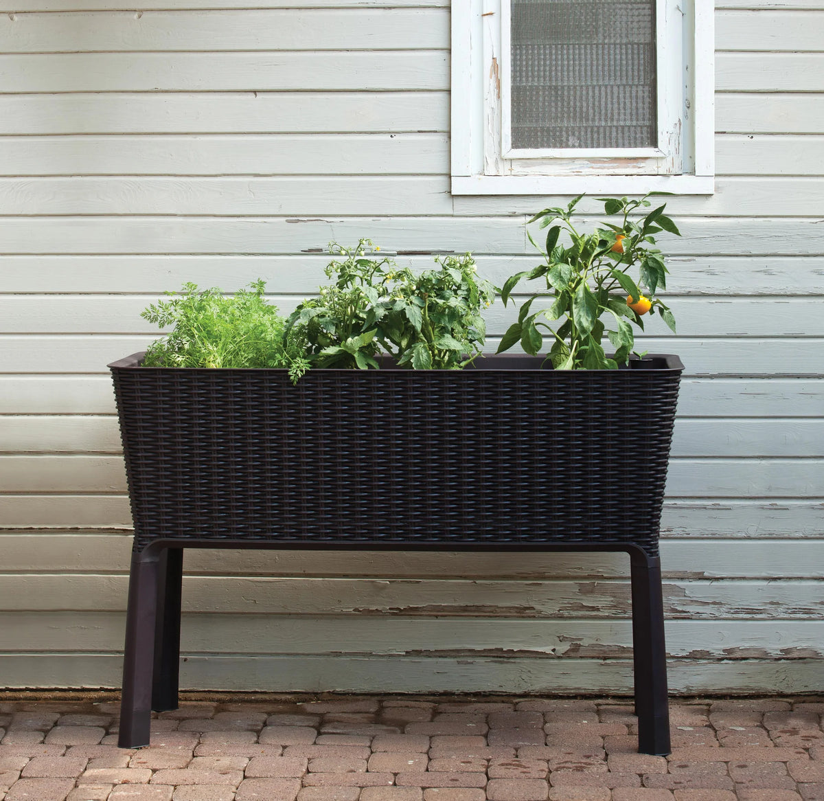 Keter Easy Grow Resin Self Watering Raised Garden Planter Dark Brown