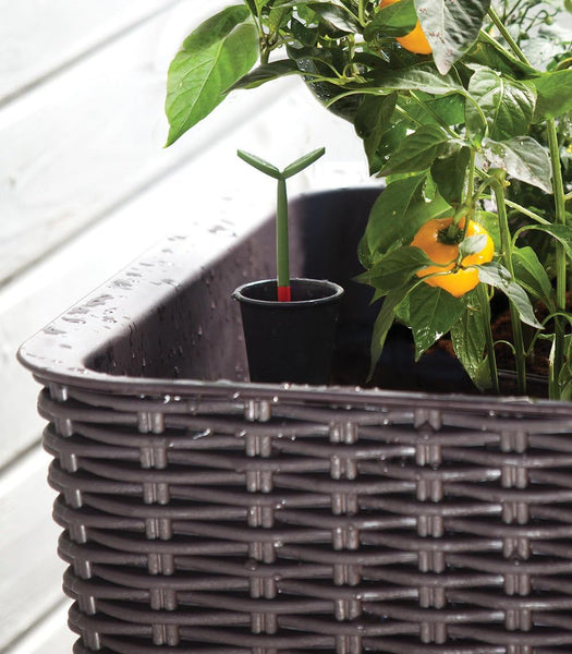 Keter Easy Grow Resin Self Watering Raised Garden Planter Dark Brown