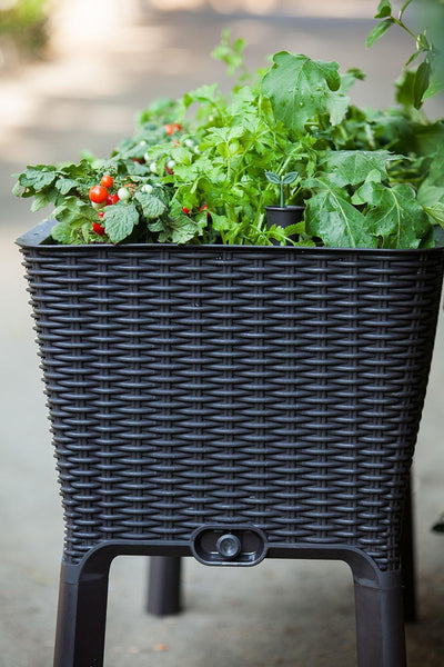 Keter Easy Grow Resin Self Watering Raised Garden Planter Dark Brown