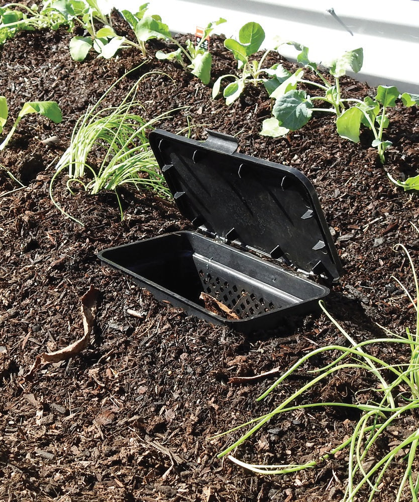 Greenlife Bio Basket Slimline In-Ground Worm Farm Micro Composter - 2 PACK