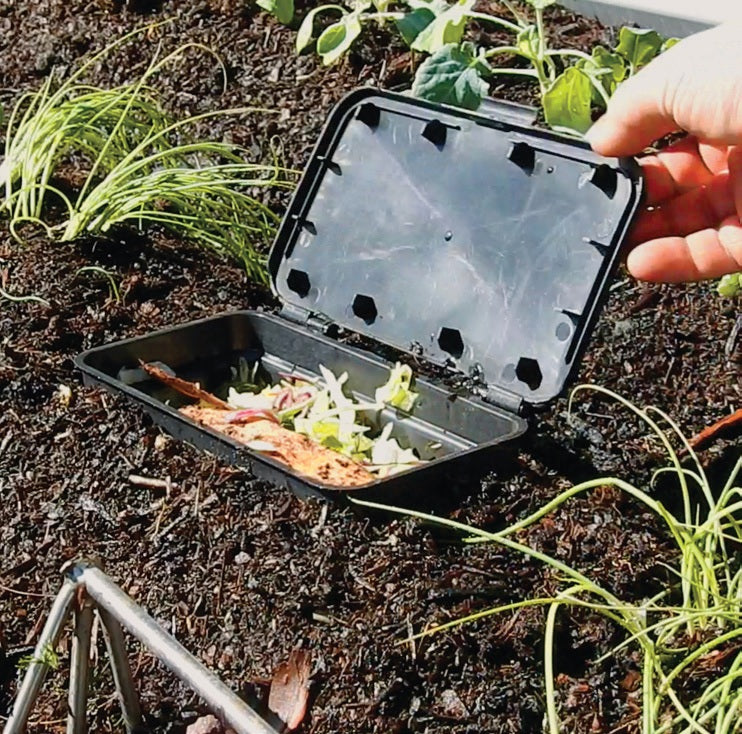 Greenlife Bio Basket Slimline In-Ground Worm Farm Micro Composter - 2 PACK
