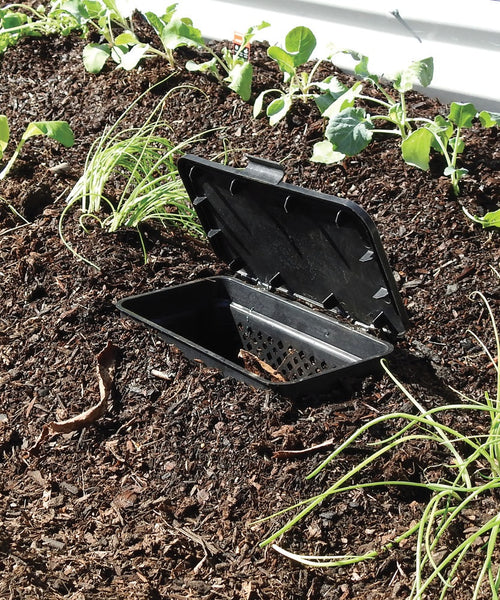 Greenlife Bio Basket Slimline In-Ground Worm Farm Micro Composter - 2 PACK