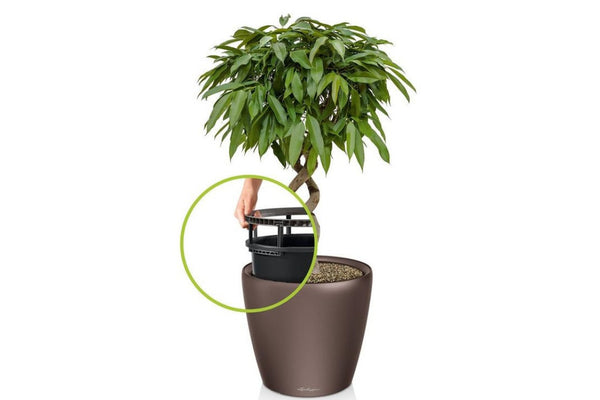 Lechuza CLASSICO LS 50 PREMIUM Self-Watering Pot
