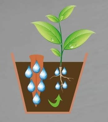 Greenlife Terracotta Self-watering Plant Pot Spikes - 4 PACK