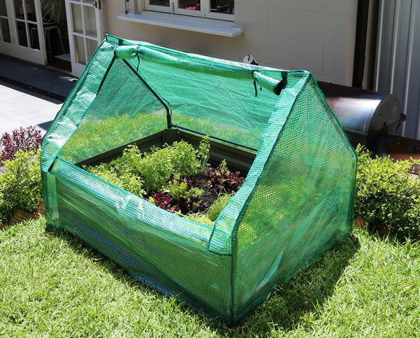 Greenlife Drop Over PE Greenhouse + Netting Cover 1250 x 950 x 920mm