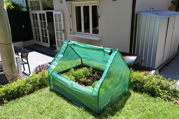 Greenlife Raised Garden Bed Slate Grey + PE Greenhouse 1250 x 950 x 920