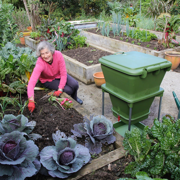 Maze Hungry Bin Worm Farm Flow Green Composting System