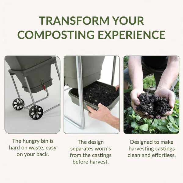 Maze Hungry Bin Worm Farm Flow Green Composting System
