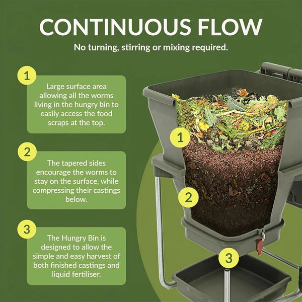Maze Hungry Bin Worm Farm with 2000 Worms