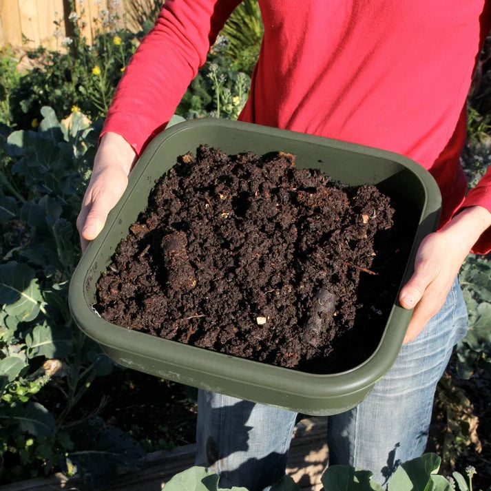 Maze Hungry Bin Worm Farm with 1000 Worms & Accessories