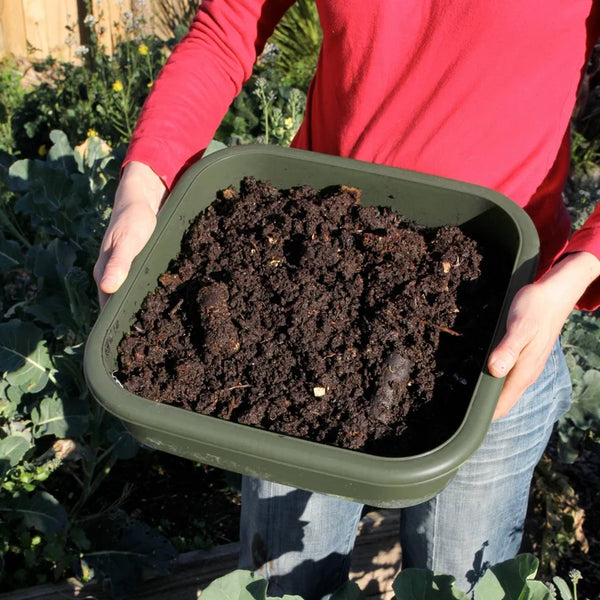 Maze Hungry Bin Worm Farm Flow Green Composting System
