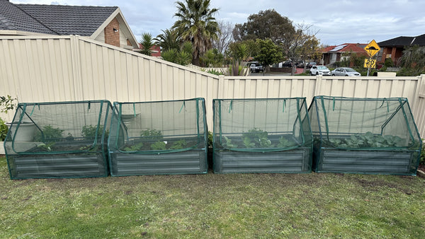 Greenlife Drop Over PE Greenhouse + Netting Cover 1250 x 950 x 920mm