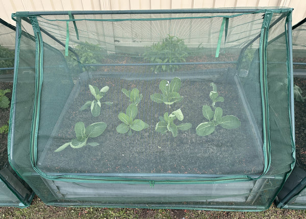 Greenlife Lean-To Drop Over PE Greenhouse + Netting Cover 1250 x 500 x 990mm