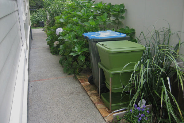 Maze Hungry Bin Worm Farm with 1000 Worms & Accessories