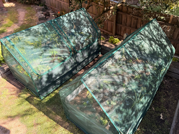 Greenlife Large Drop Over PE Greenhouse + Netting Cover 1850 x 950 x 1020mm