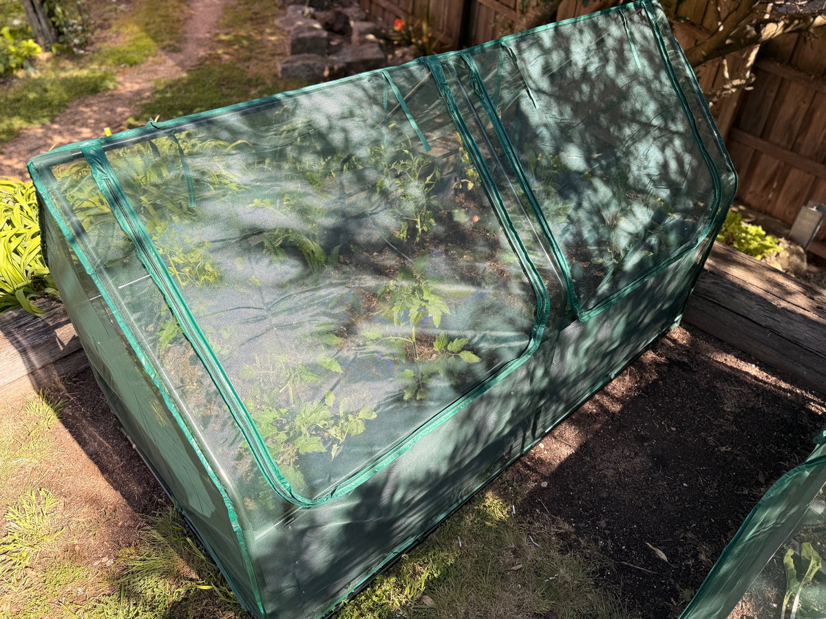 Greenlife Large Drop Over PE Greenhouse + Netting Cover 1850 x 950 x 1020mm