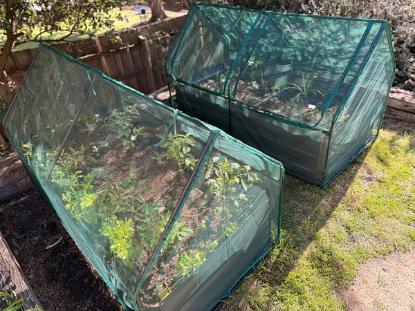 Greenlife Large Drop Over Netting Cover - 1850 x 950 x 1020mm – Green (No frame or connectors)