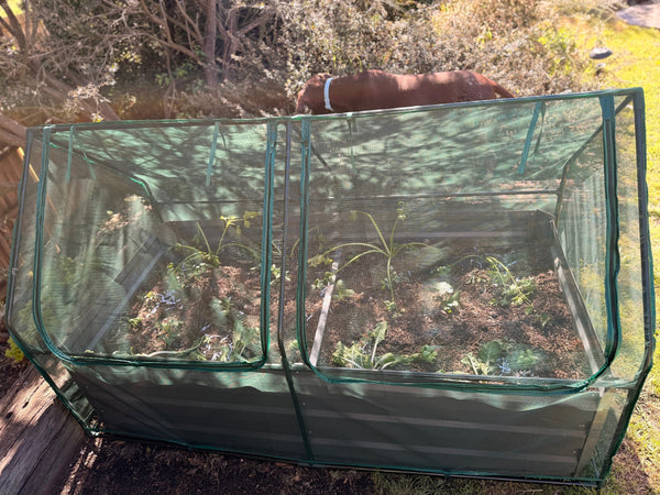 Greenlife Large Drop Over Netting Cover - 1850 x 950 x 1020mm – Green (No frame or connectors)