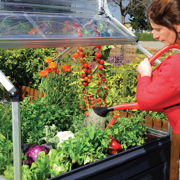 Maze Plant Inn Raised Garden Bed Planter with Mini Greenhouse