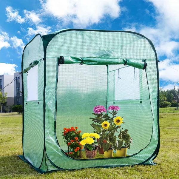 Maze Pop-up Tall Greenhouse Extra Large - 1830W x 1830D x 2150H mm