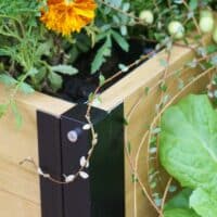 VegTrug Large Raised Garden Bed Grow Kit with Cover - Natural