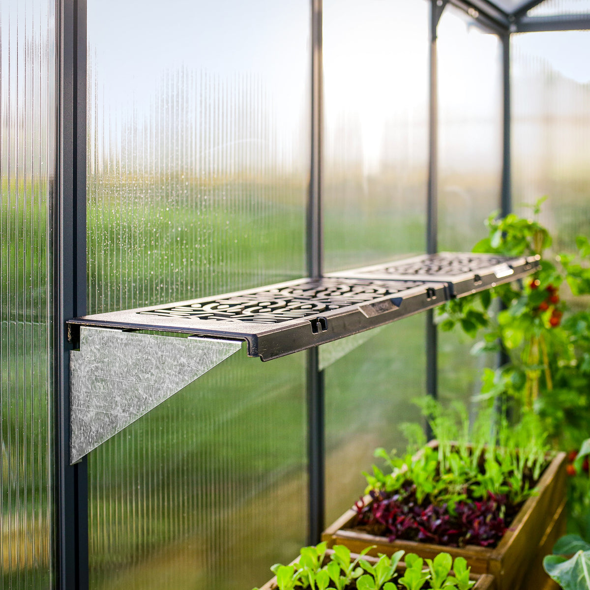 Maze Greenhouse Accessory - Signature Twin Shelf Kit