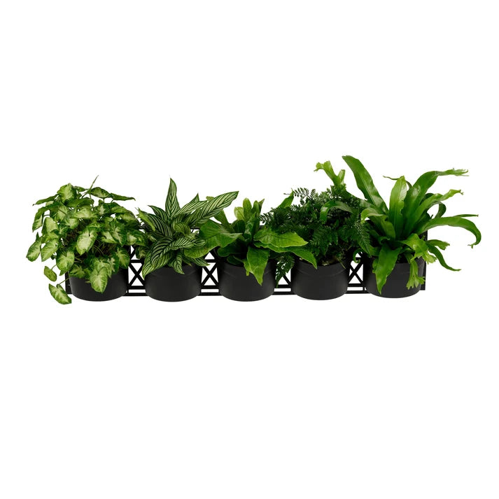 Maze Vertical Garden Wall Growing Kit - Black (25 Pots)