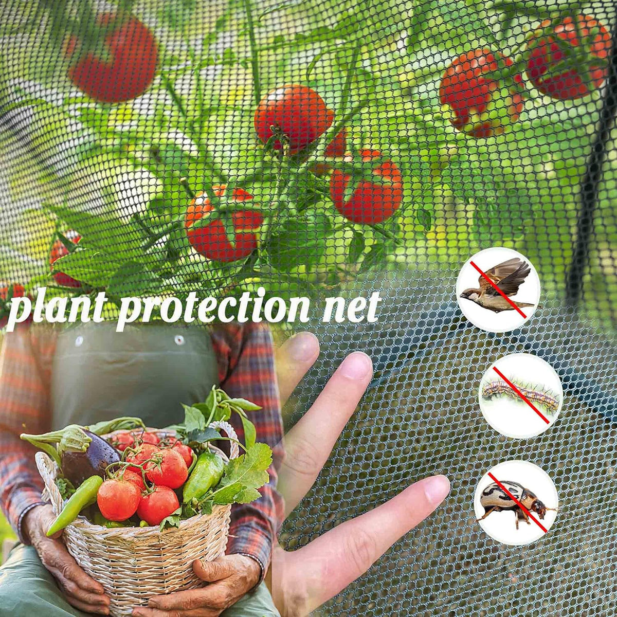 Maze Tall Netting Crop Protection Cage – 1.25m² X 1.8m High