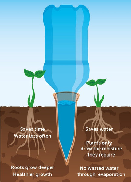 Greenlife Terracotta Self-watering Plant Pot Spikes - 4 PACK