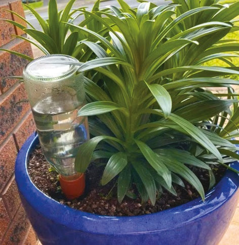 Greenlife Terracotta Self-watering Plant Pot Spikes - 4 PACK