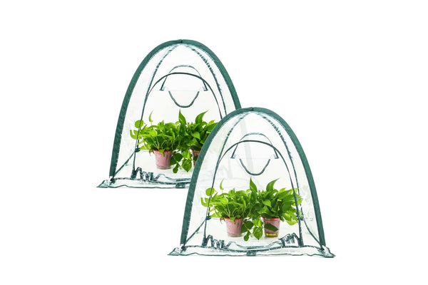 Maze Twin Pack Poly Greenhouse Garden Covers – 0.92m² X 1m High