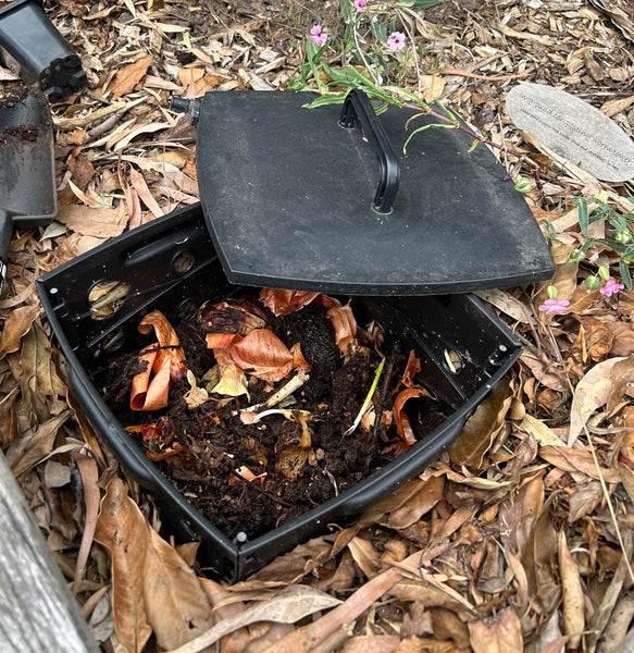 Greenlife Worm Box In-Ground Micro Composter & Worm Farm for Gardens